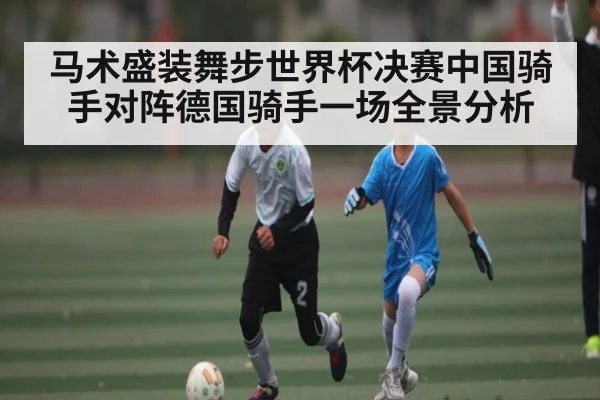 马术盛装舞步世界杯决赛中国骑手对阵德国骑手一场全景分析